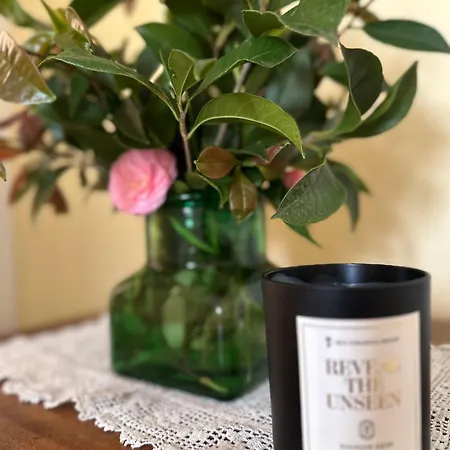 فندق مبيت وإفطار Adelaide Lakeview 3*