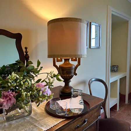 Adelaide Lakeview كومو