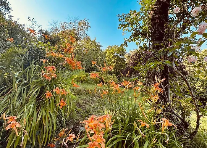 Adelaide Lakeview 3*