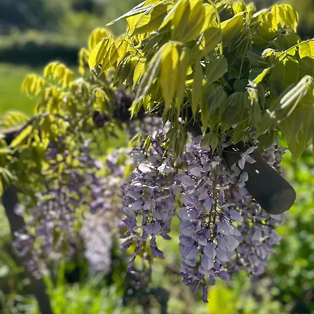 Adelaide Lakeview Como