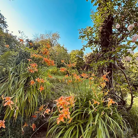 Adelaide Lakeview 3*