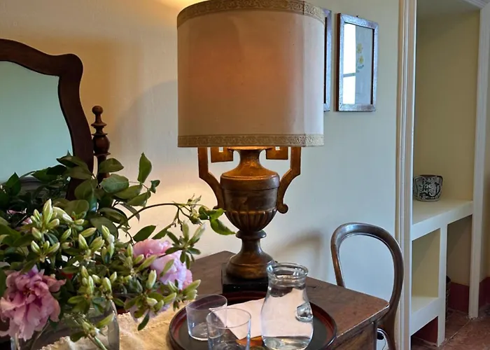 Adelaide Lakeview 科莫